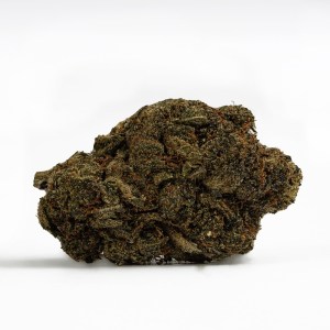 HPC Mango Haze CBD Blüte kaufen HHC Shop